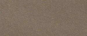 1964 Studebaker Golden Sand Poly
